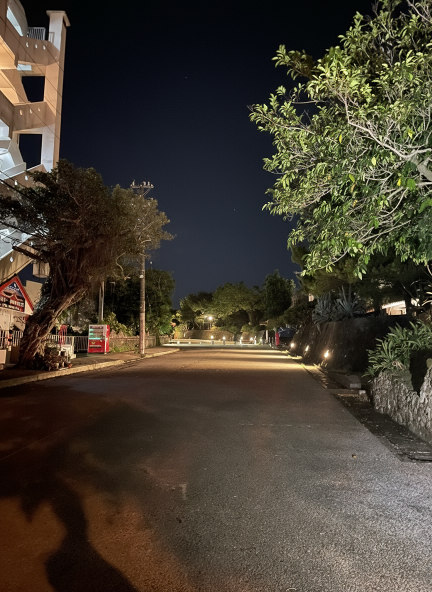 大手ブランド80Wの照射写真